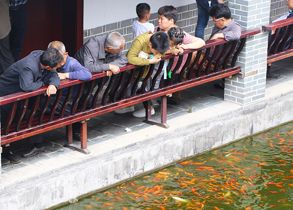 湖南華億生態(tài)農(nóng)業(yè)發(fā)展有限責(zé)任公司,株洲農(nóng)家樂,湖南戶外拓展,株洲哪里好玩,自助燒烤,露營(yíng),會(huì)議團(tuán)體接待