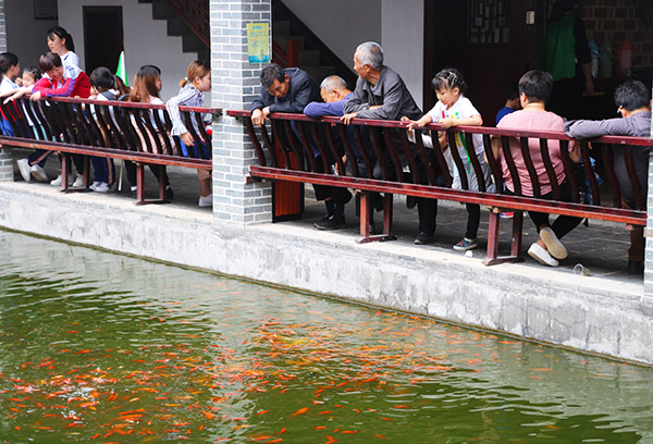 湖南華億生態(tài)農(nóng)業(yè)發(fā)展有限責(zé)任公司,株洲農(nóng)家樂,湖南戶外拓展,株洲哪里好玩,自助燒烤,露營(yíng),會(huì)議團(tuán)體接待