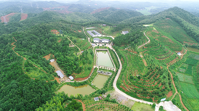 湖南華億生態(tài)農(nóng)業(yè)發(fā)展有限責(zé)任公司,株洲農(nóng)家樂,湖南戶外拓展,株洲哪里好玩,自助燒烤,露營,會議團體接待