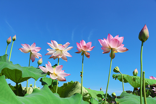 湖南華億生態(tài)農(nóng)業(yè)發(fā)展有限責(zé)任公司,株洲農(nóng)家樂,湖南戶外拓展,株洲哪里好玩,自助燒烤,露營,會(huì)議團(tuán)體接待