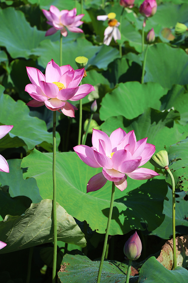 湖南華億生態(tài)農(nóng)業(yè)發(fā)展有限責(zé)任公司,株洲農(nóng)家樂,湖南戶外拓展,株洲哪里好玩,自助燒烤,露營,會(huì)議團(tuán)體接待