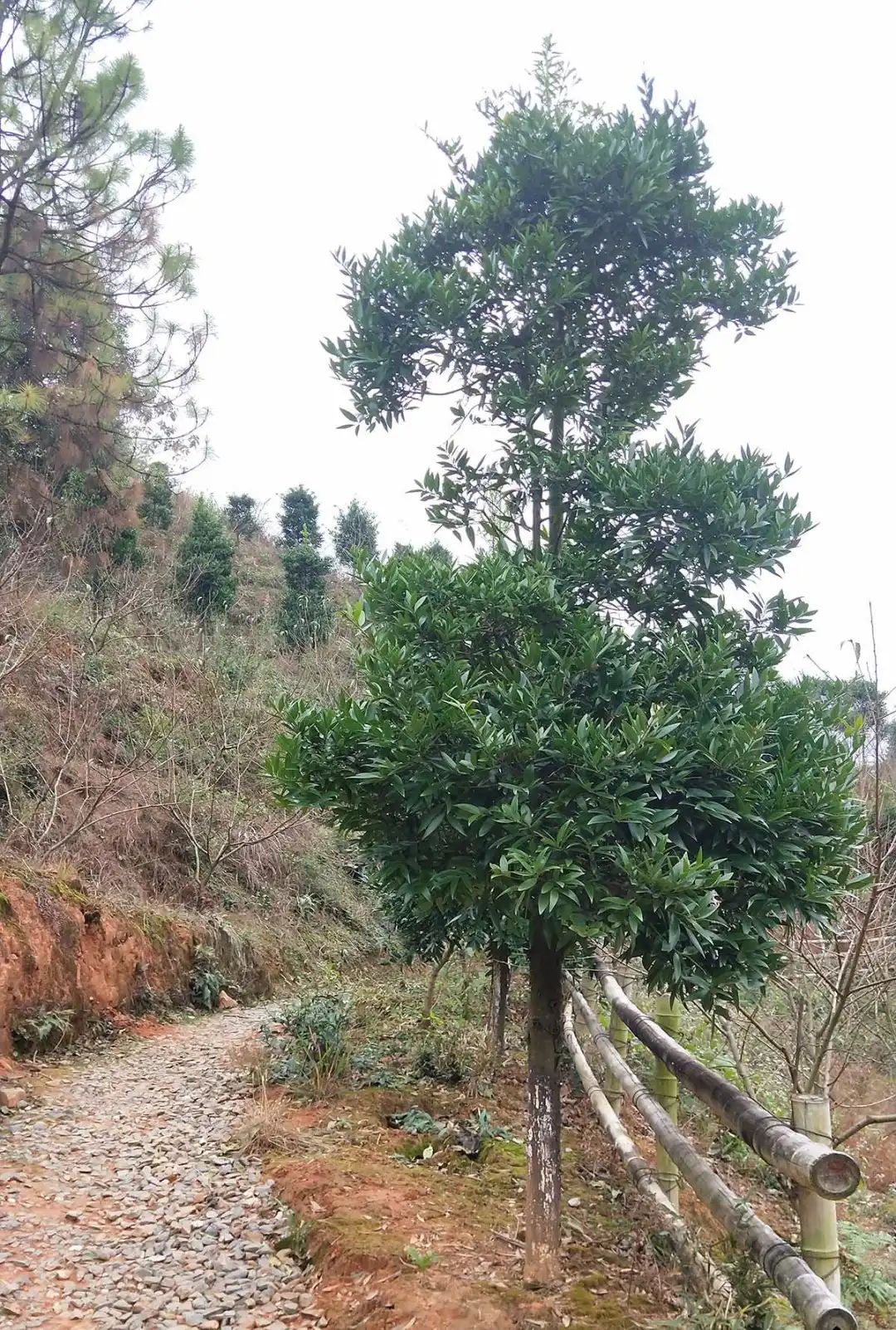戶外拓展,自助燒烤,露營,會議團(tuán)體接待，團(tuán)建，