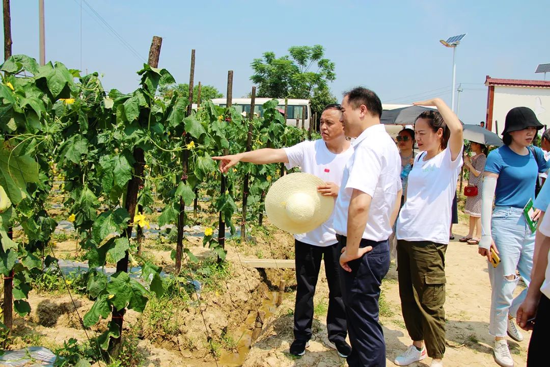 戶外拓展,自助燒烤,露營,會議團(tuán)體接待，團(tuán)建，