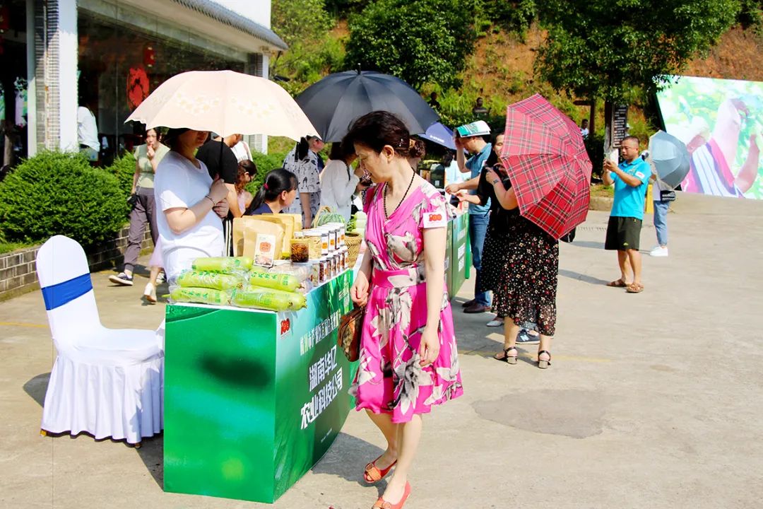 戶外拓展,自助燒烤,露營,會議團(tuán)體接待，團(tuán)建，