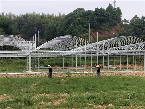 戶外拓展,自助燒烤,露營,會(huì)議團(tuán)體接待，團(tuán)建，