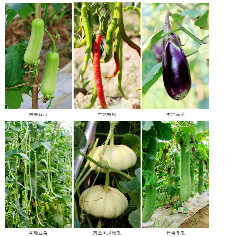 戶外拓展,自助燒烤,露營(yíng),會(huì)議團(tuán)體接待，團(tuán)建，