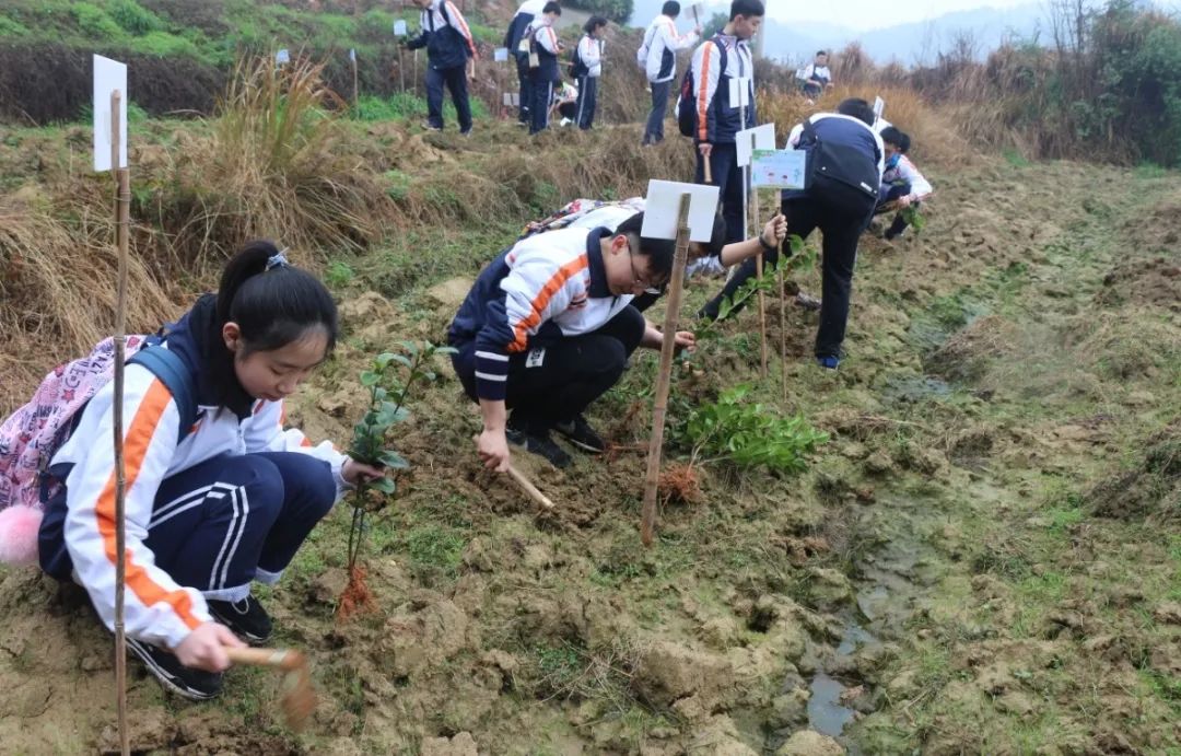 戶外拓展,自助燒烤,露營,會議團體接待，團建，