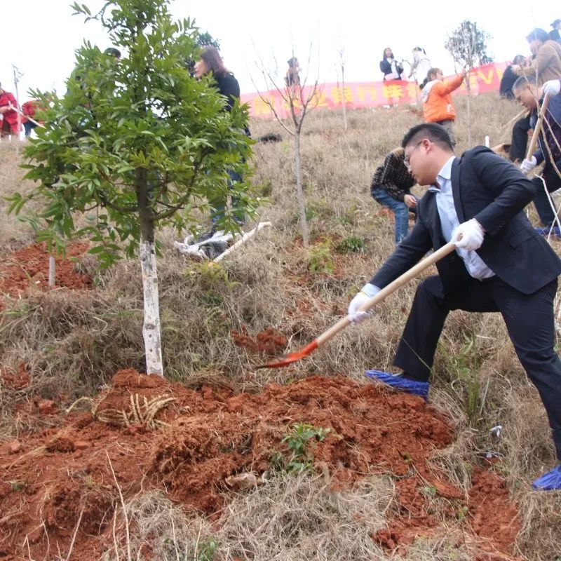 戶外拓展,自助燒烤,露營,會議團體接待，團建，