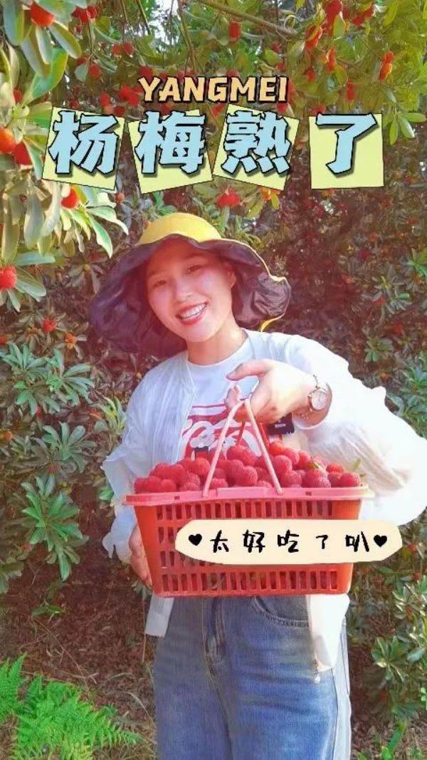 戶外拓展,自助燒烤,露營,會(huì)議團(tuán)體接待，團(tuán)建，