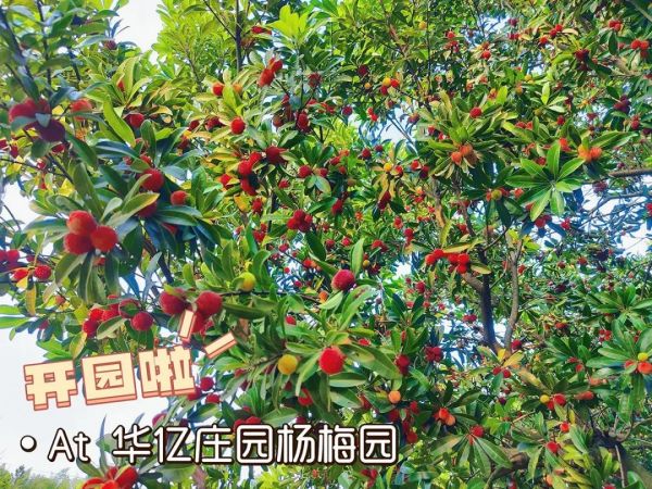 戶外拓展,自助燒烤,露營,會(huì)議團(tuán)體接待，團(tuán)建，