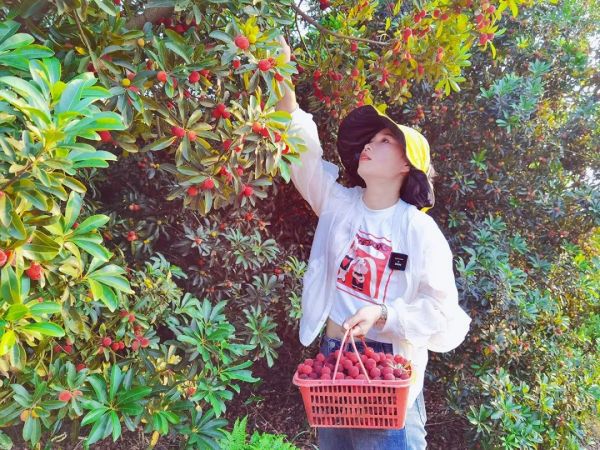 戶外拓展,自助燒烤,露營,會(huì)議團(tuán)體接待，團(tuán)建，