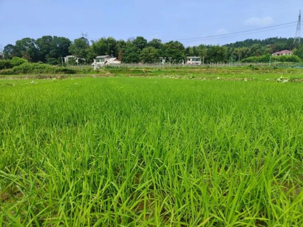 戶外拓展,自助燒烤,露營,會議團體接待，團建，