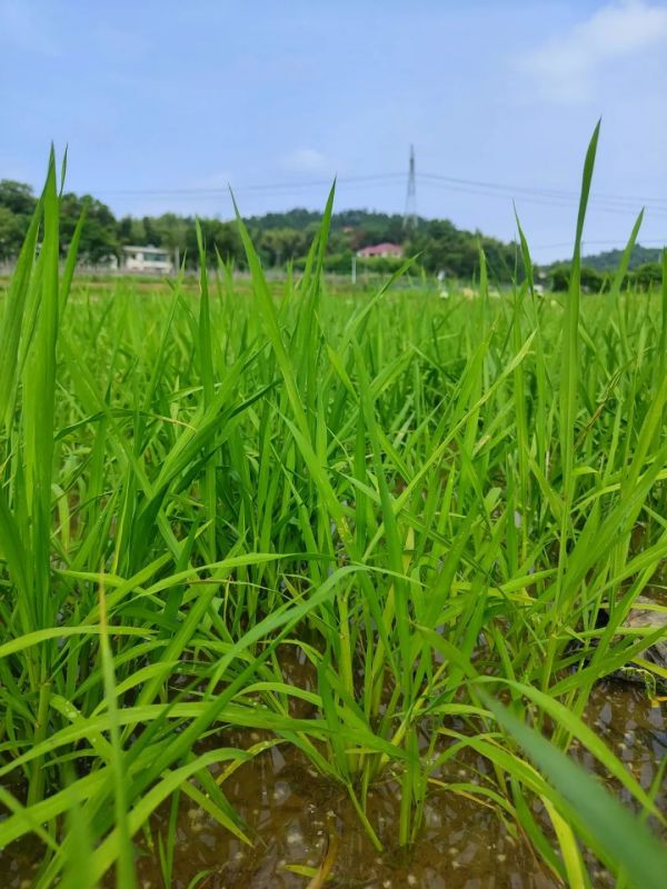 戶外拓展,自助燒烤,露營,會議團體接待，團建，