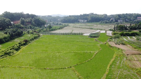 戶外拓展,自助燒烤,露營,會議團體接待，團建，