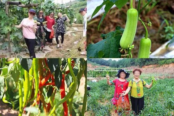 戶外拓展,自助燒烤,露營(yíng),會(huì)議團(tuán)體接待，團(tuán)建，