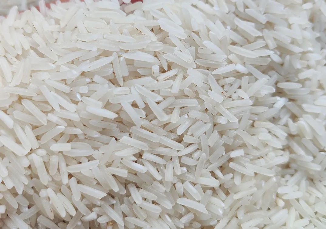 戶外拓展,自助燒烤,露營,會議團體接待，團建，