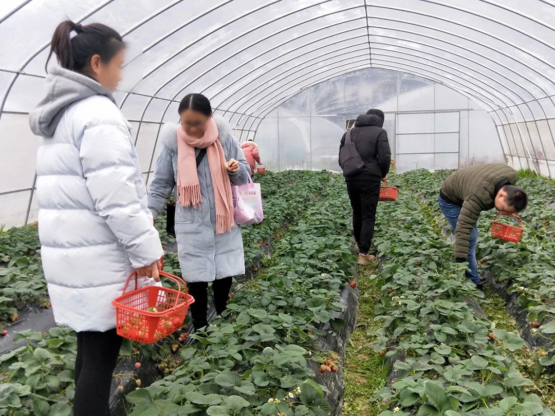戶外拓展,自助燒烤,露營,會議團體接待，團建，