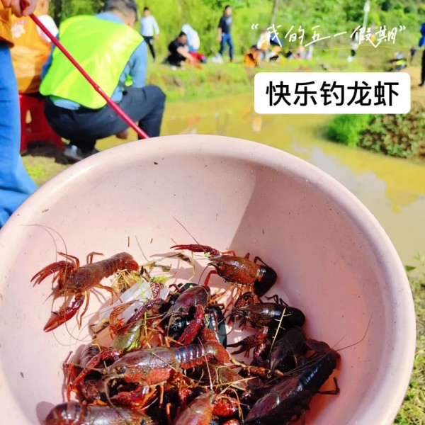 戶外拓展,自助燒烤,露營(yíng),會(huì)議團(tuán)體接待，團(tuán)建，